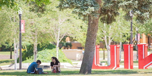 Students relaxing on NIU's campus